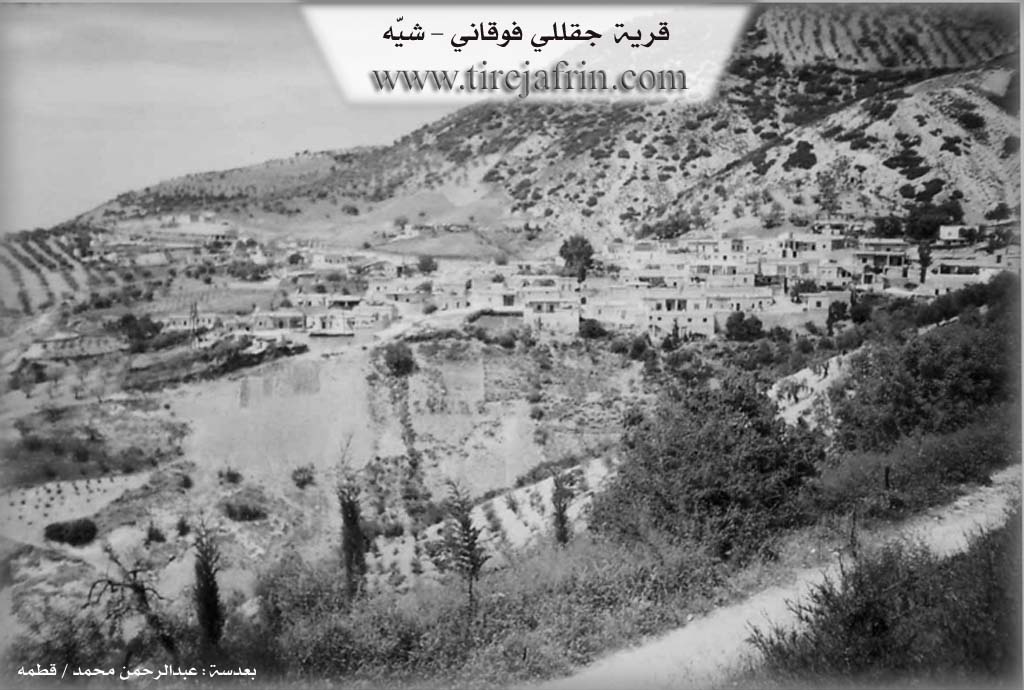 Photo of Çeqelê Jorin